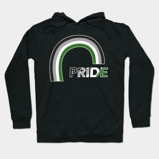 Aromantic rainbow pride Hoodie